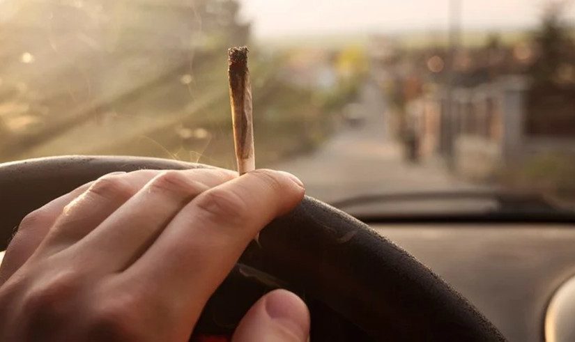 AAA Study Highlights Rising Concerns Over Cannabis-Impaired Driving