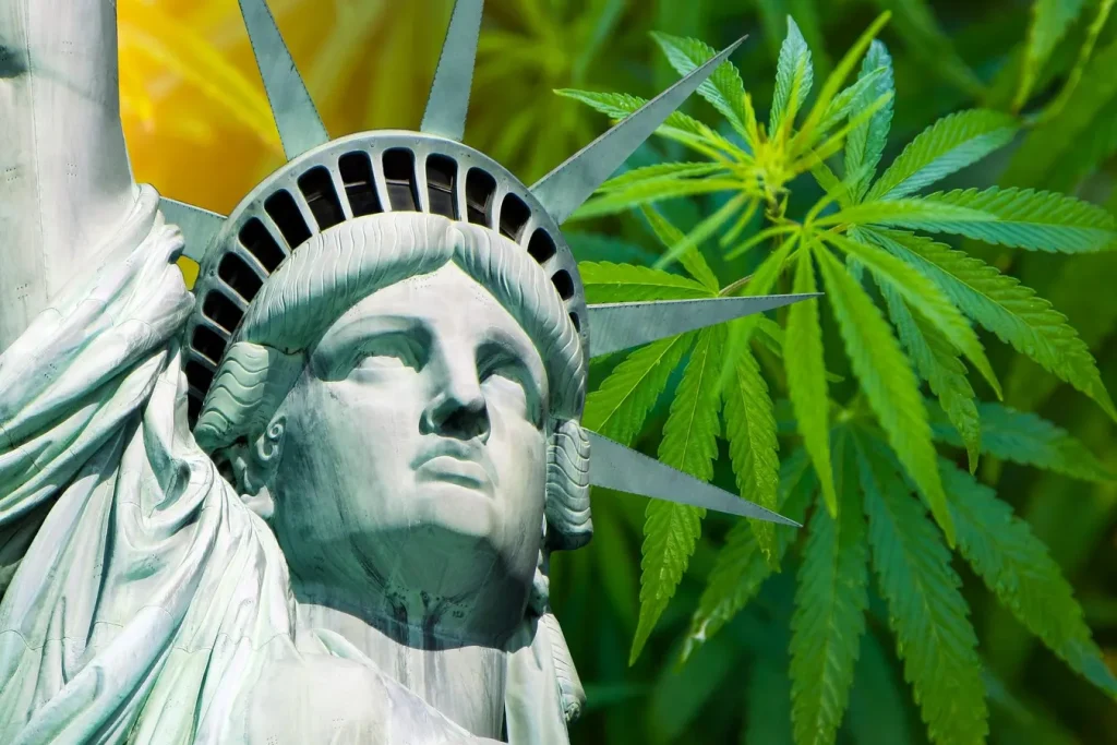 California Cannabis Brand Stiiizy Faces Investigation Over Alleged Illegal Imports to New York