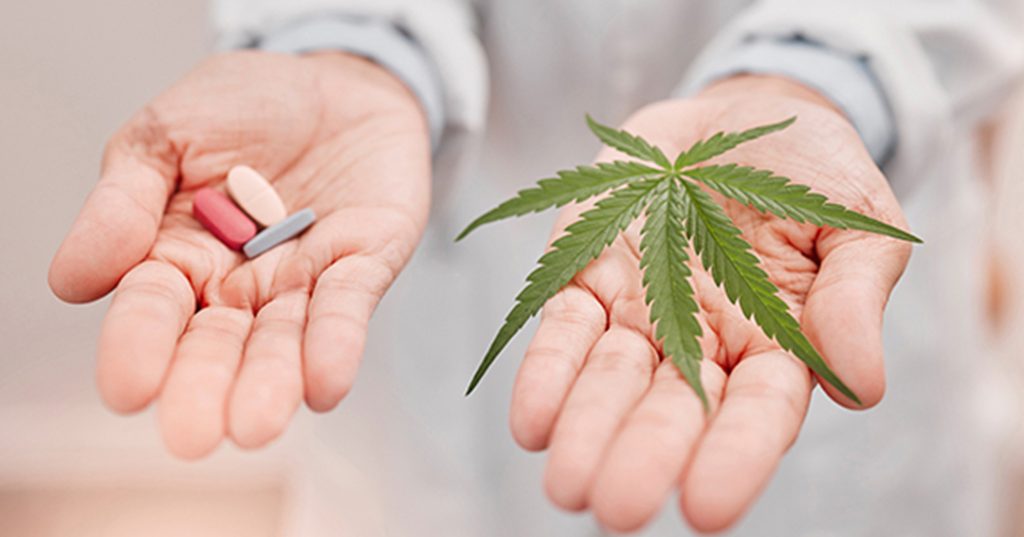 Oklahoma Researchers Explore Cannabis Impact on Sedation and Cancer Symptoms