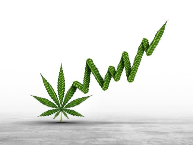 Shifting Cannabis Industry Toward Complexity and Craftsmanship